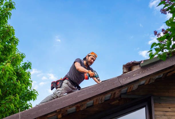 Best Storm Damage Roof Repair  in Story City, IA