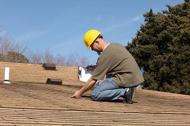 Best Roof Insulation Installation  in Story City, IA