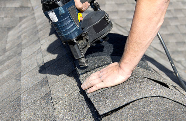 Best Solar Panel Roofing Installation  in Story City, IA