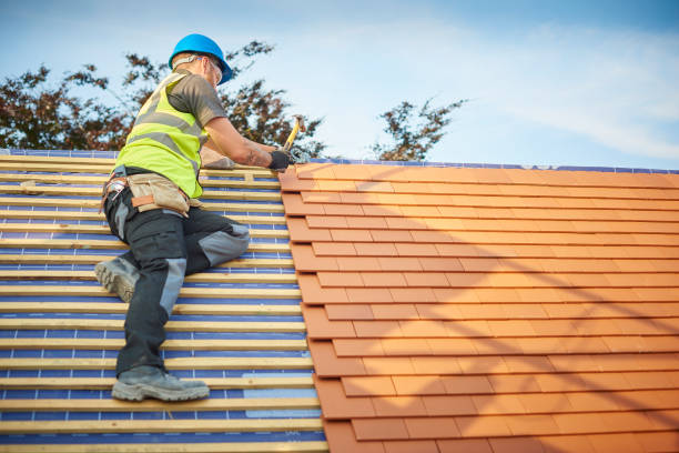 Best Metal Roofing Installation  in Story City, IA